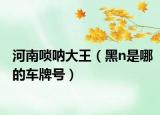 河南唢呐大王（黑n是哪的车牌号）