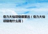 骨力大仙项链哪里出（骨力大仙项链有什么用）