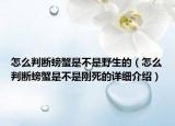 怎么判断螃蟹是不是野生的（怎么判断螃蟹是不是刚死的详细介绍）