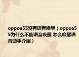 oppoa55没有语音唤醒（oppoa55为什么不能语音唤醒 怎么唤醒语音助手介绍）