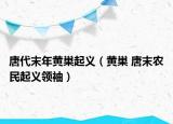 唐代末年黄巢起义（黄巢 唐末农民起义领袖）