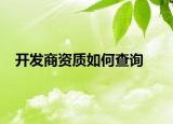 开发商资质如何查询