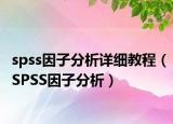 spss因子分析详细教程（SPSS因子分析）