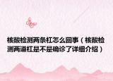 核酸检测两条杠怎么回事（核酸检测两道杠是不是确诊了详细介绍）