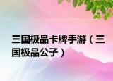 三国极品卡牌手游（三国极品公子）