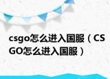 csgo怎么进入国服（CSGO怎么进入国服）