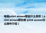 电脑print screen键是什么意思（print screen键在哪 print screen怎么操作介绍）