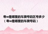 粤w是哪里的车牌号码区号多少（粤w是哪里的车牌号码）