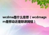 wcdma是什么意思（wcdmagsm是移动还是联通网络）