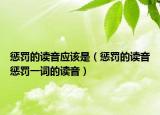 惩罚的读音应该是（惩罚的读音惩罚一词的读音）