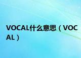 VOCAL什么意思（VOCAL）