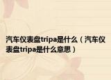 汽车仪表盘tripa是什么（汽车仪表盘tripa是什么意思）