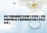 B站下载的视频在手机哪个文件夹（手机哔哩哔哩B站下载的视频存在哪个手机文件夹）