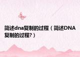 简述dna复制的过程（简述DNA复制的过程?）