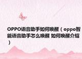 OPPO语音助手如何唤醒（oppo智能语音助手怎么唤醒 如何唤醒介绍）