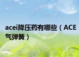acei降压药有哪些（ACE气弹簧）