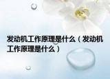 发动机工作原理是什么（发动机工作原理是什么）