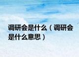 调研会是什么（调研会是什么意思）