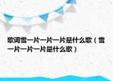 歌词雪一片一片一片是什么歌（雪一片一片一片是什么歌）