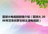 篮球火电视剧剧情介绍（篮球火 2008年言承旭罗志祥主演电视剧）