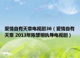 爱情自有天意电视剧36（爱情自有天意 2013年陈慧翎执导电视剧）