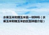 水果玉米和糯玉米能一块种吗（水果玉米和糯玉米的区别详细介绍）