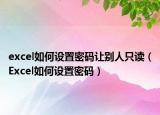 excel如何设置密码让别人只读（Excel如何设置密码）
