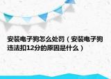 安装电子狗怎么处罚（安装电子狗违法扣12分的原因是什么）