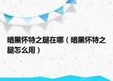 暗黑怀特之腿在哪（暗黑怀特之腿怎么用）