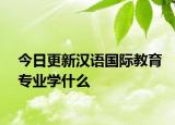 今日更新汉语国际教育专业学什么