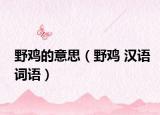 野鸡的意思（野鸡 汉语词语）
