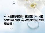 wps里的字数统计在哪里（wps的字数统计在哪 wps的字数统计在哪里介绍）