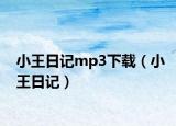 小王日记mp3下载（小王日记）
