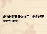 定向越野是什么样子（定向越野是什么运动）