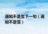 遥知不是雪下一句（遥知不是雪）