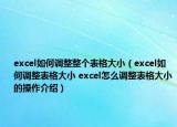 excel如何调整整个表格大小（excel如何调整表格大小 excel怎么调整表格大小的操作介绍）