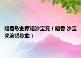 暗香歌曲原唱沙宝亮（暗香 沙宝亮演唱歌曲）
