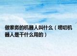 做家务的机器人叫什么（唠叨机器人是干什么用的）