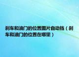 刹车和油门的位置图片自动挡（刹车和油门的位置在哪里）