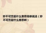 妙不可言是什么意思简单说法（妙不可言是什么意思啊）