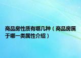 商品房性质有哪几种（商品房属于哪一类属性介绍）