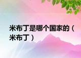 米布丁是哪个国家的（米布丁）