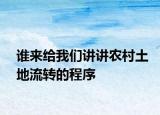 谁来给我们讲讲农村土地流转的程序