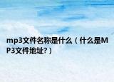 mp3文件名称是什么（什么是MP3文件地址?）