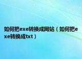 如何把exe转换成网站（如何把exe转换成txt）