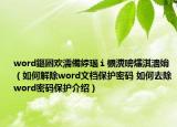 word鏂囦欢濡備綍瑙ｉ櫎瀵嗙爜淇濇姢（如何解除word文档保护密码 如何去除word密码保护介绍）