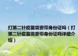 打第二针疫苗需要带身份证吗（打第二针疫苗需要带身份证吗详细介绍）