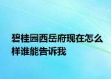 碧桂园西岳府现在怎么样谁能告诉我