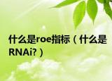 什么是roe指标（什么是RNAi?）