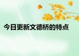今日更新文德桥的特点